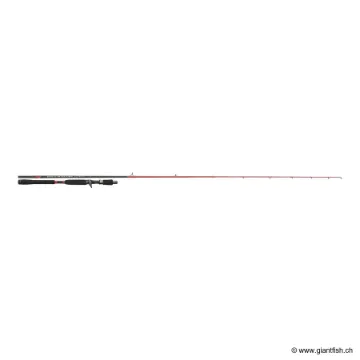 Canne Casting TENRYU INJECTION BC 73 XH