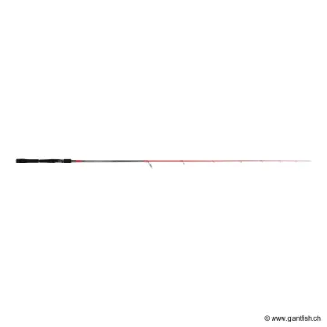 Canne Spinning TENRYU INJECTION SP 64 ML