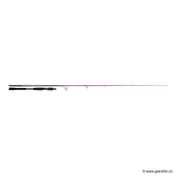 Canne Spinning TENRYU INJECTION SP 73 XH