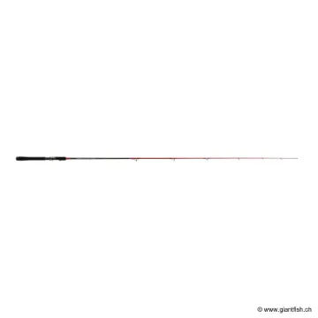 Canne Spinning TENRYU INJECTION SPV 6.0 MH