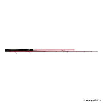 Canne Spinning TENRYU QUEEN TAI