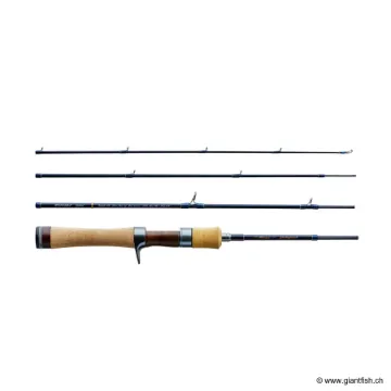 Canne Voyage TENRYU RAYZ INTEGRAL RZI 484 B-L