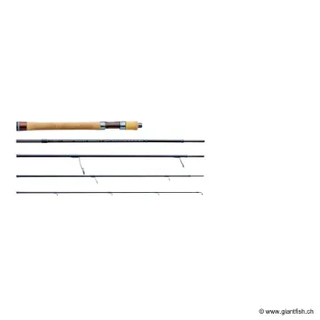 Canne Spinning TENRYU RAYZ INTEGRAL RZI 755S-MLM