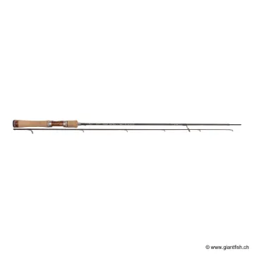 Canne Spinning TENRYU RAYZ SPECTRA 53 LML
