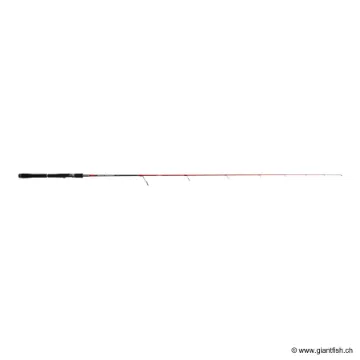 Canne Spinning TENRYU SAYAKA EVO