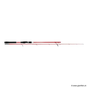 Canne Spinning TENRYU SUPER MIX 210