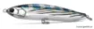 Image de Leurre Coulant Tackle House BRITT CBP Works 145 - 14.5 cm