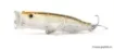 Image de Leurre de Surface Tackle House Feed Popper 70 - 7 cm