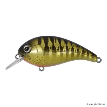 Tackle House ELFIN CRANK