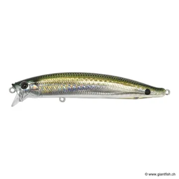 Tackle House FEED SHALLOW 105 PLUS