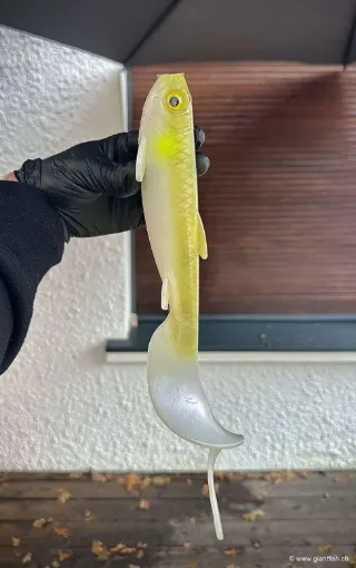 Big Pike Lures Prometheus Curly