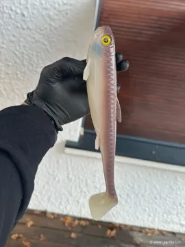 Big Pike Lures Prometheus Shad