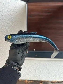 Big Pike Lures Prometheus Shad