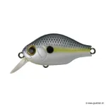 353 Natural Shad