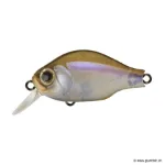 817 Kanto Real Wakasagi