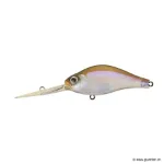 817 Kanto Real Wakasagi