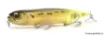 Immagine di Artificiale di superficie Megabass DOG X DIAMANTE SILENT - 12 cm