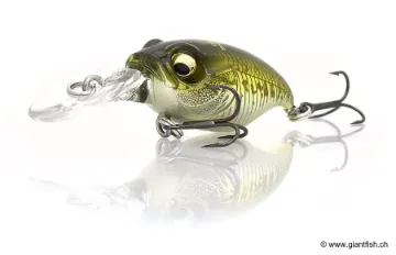 Leurre Flottant Megabass GRIFFON BAIT FINESSE MRX - 4.3 cm