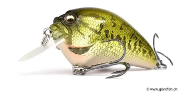 Leurre Flottant Megabass IXI BLOWLY - 4.9 cm