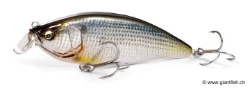 Leurre Flottant Megabass KONOSIRUS SHAD F - 15 cm