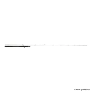 Canne Casting Megabass LEVANTE JP F10 711LV