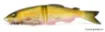 Picture of Megabass MAG DRAFT AYU TWITCHER Soft Swimbait - 18 cm