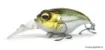 Immagine di Esca Galleggiante Megabass MRX GRIFFON - 4,3 cm