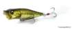 Immagine di Esca di superficie Megabass POP X - 6,4 cm