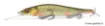 Image de Leurre Suspending Megabass VISION ONETEN +1 JUNIOR - 10 cm