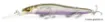 Image de Leurre Flottant Megabass VISION ONETEN R+2 - 11 cm
