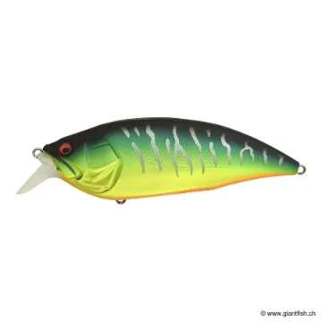 Megabass BIG M 2.0