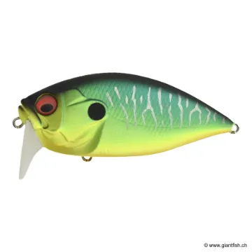Megabass O.R.C. BURNING SHAD