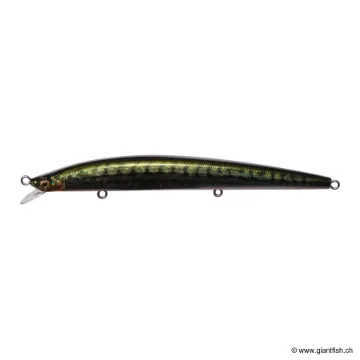 Megabass COOKAI SLIM 120F