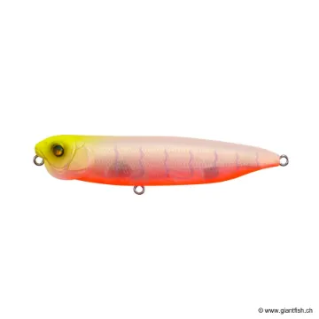 Megabass DOG X QUICK WALKER SW