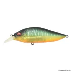 Seethrough Mat Tiger