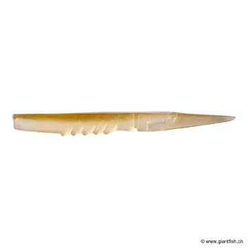 Megabass SUPER GIANT X LAYER