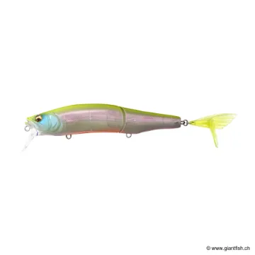 Megabass GORHAM 147F