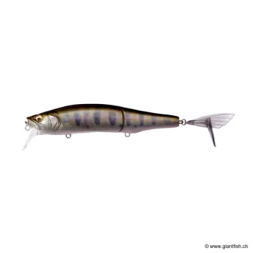 Megabass GORHAM 147F