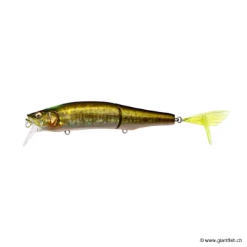 Megabass GORHAM 147F