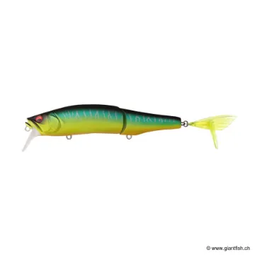 Megabass GORHAM 147F