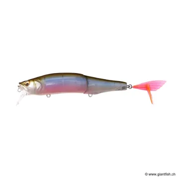 Megabass GORHAM 147F