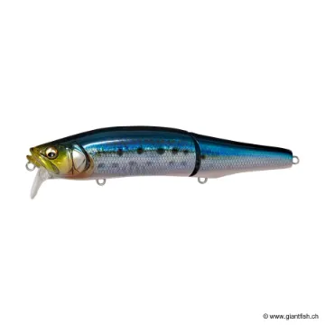 Megabass GORHAM 147F SW