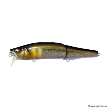 Megabass GORHAM 147F SW