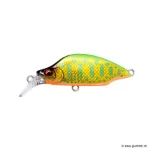 Dd Lime Back Gold Ob