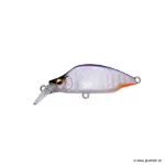 Purple Back Halation