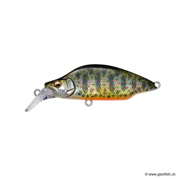 Megabass GREAT HUNTING 52 BAT A FRY