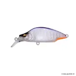 Purple Back Halation