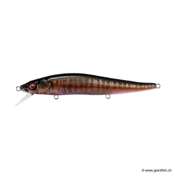 Megabass GREAT HUNTING 110