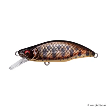 Megabass GREAT HUNTING 46 HUMPBACK (FS)