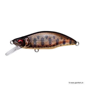 Megabass GREAT HUNTING 64 HUMPBACK (FS)